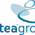 Antea Group