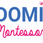 Domissori